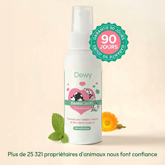 DentaClean - Spray Dentaire pour Chien