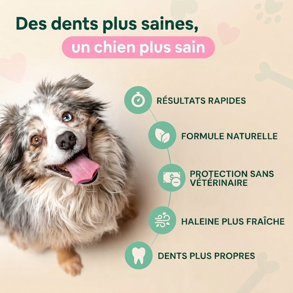 DentaClean - Spray Dentaire pour Chien
