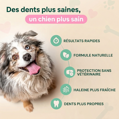 DentaClean - Spray Dentaire pour Chien