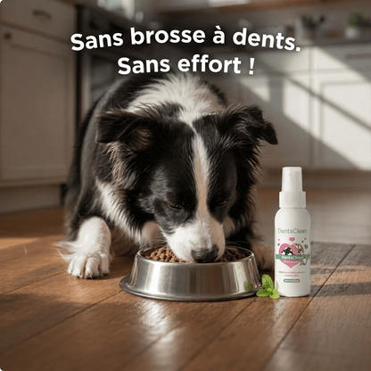 DentaClean - Spray Dentaire pour Chien