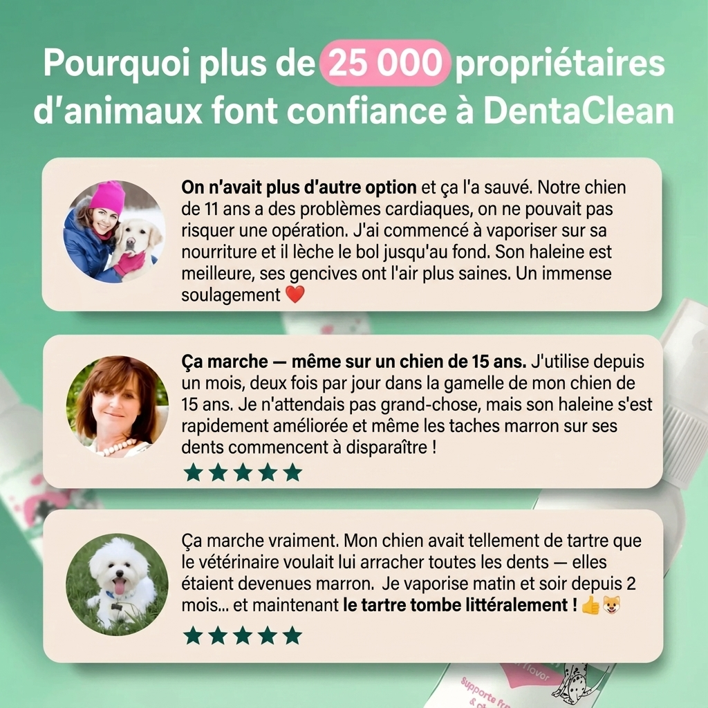 DentaClean - Spray Dentaire pour Chien