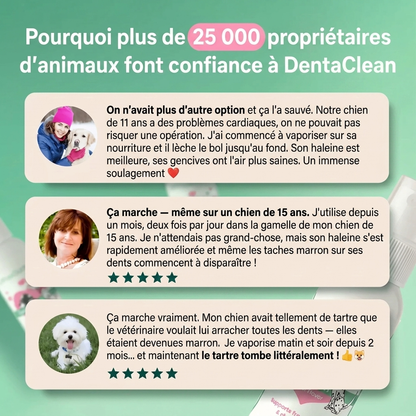 DentaClean - Spray Dentaire pour Chien