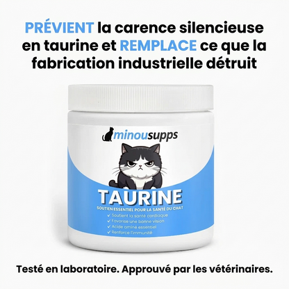 Stoppez la carence silencieuse avant même d'en voir les signes avec MinouSupps™ Taurine