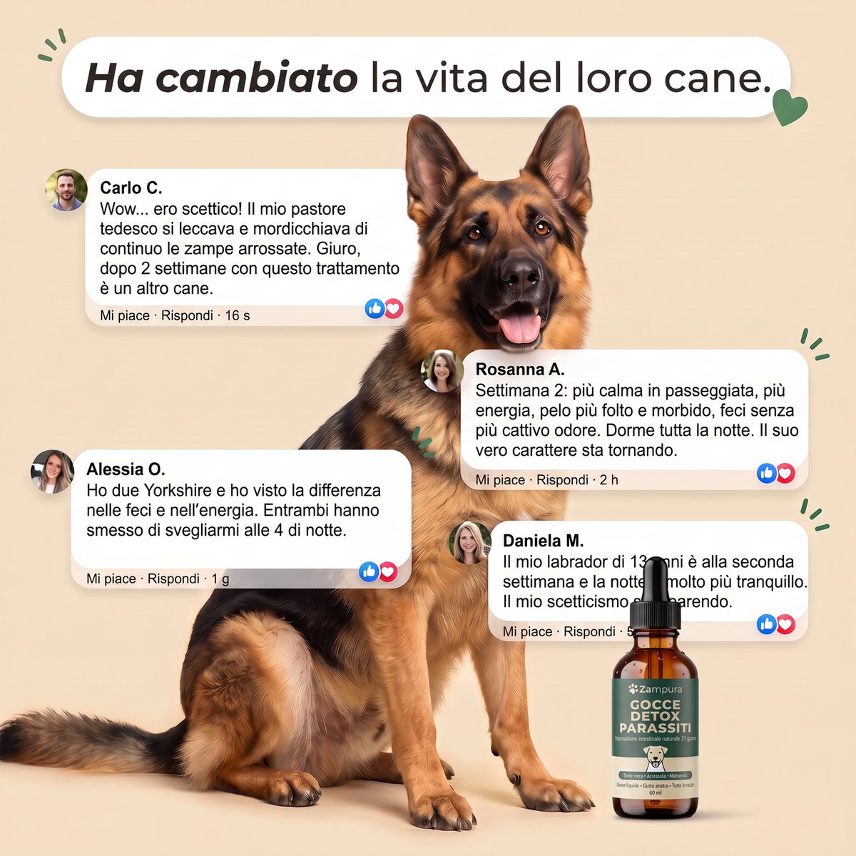 Zampura™ Detox Parassiti