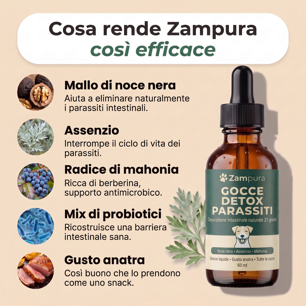 Zampura™ Detox Parassiti