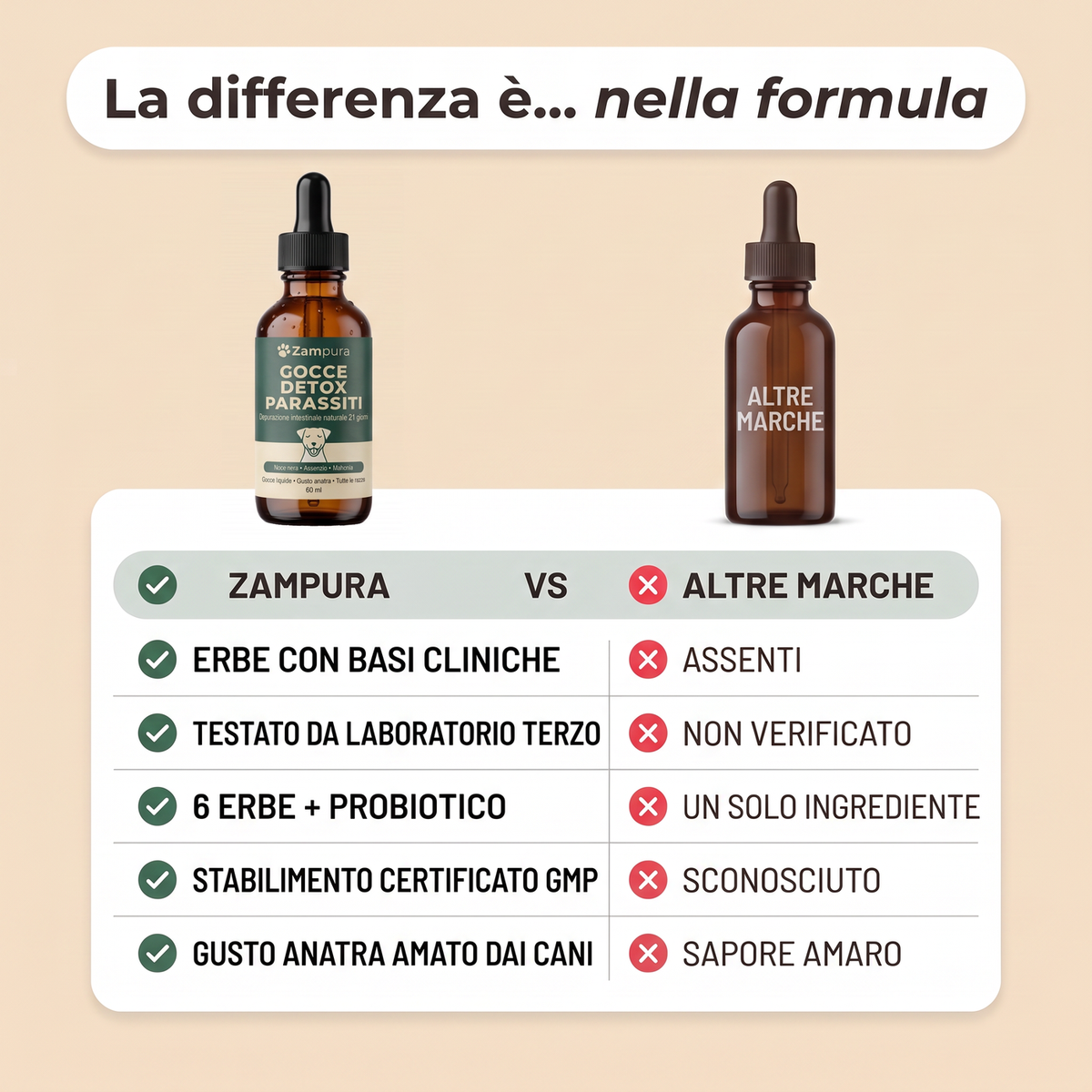 Zampura™ Detox Parassiti