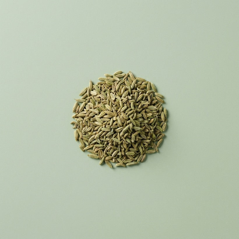 Semi di finocchio