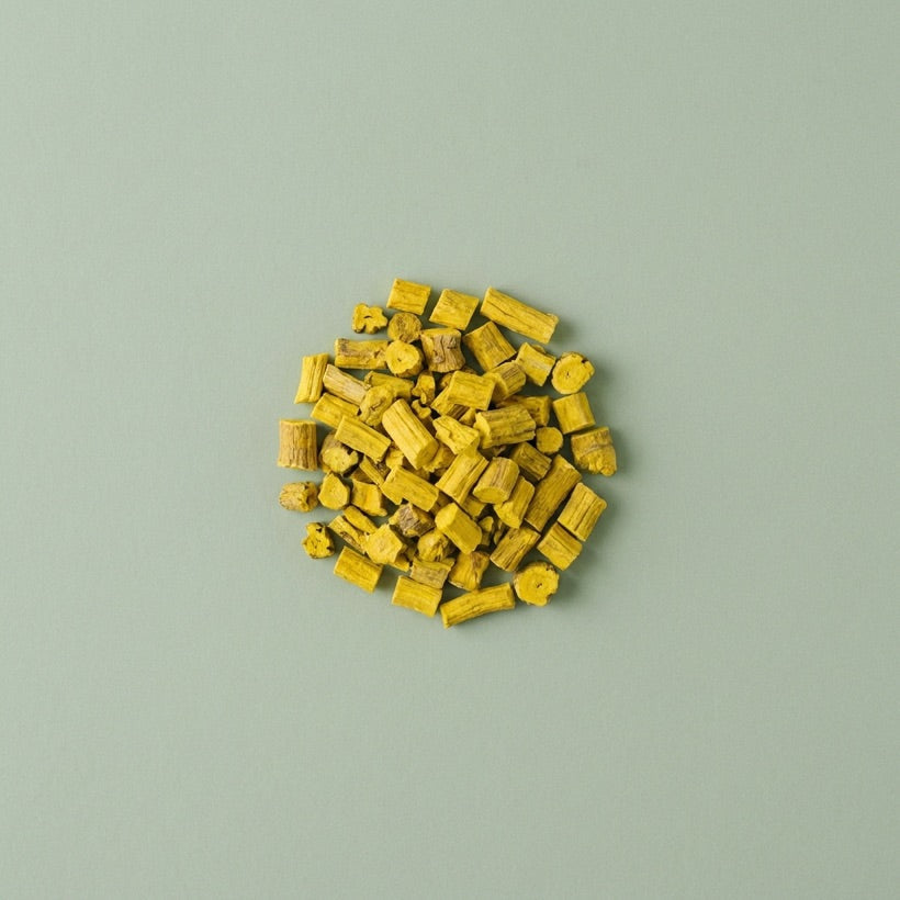 Radice di mahonia